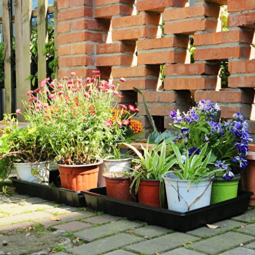 Gardzen 10 Pack Seed Trays, Reusable Plant Grow Trays, Ideal for Seed Starting, Microgreens, Indoor Gardening, and Greenhouse Plant Nurseries - No Drain Holes, 17.3" x 13" - size: 17.3" x 13"
