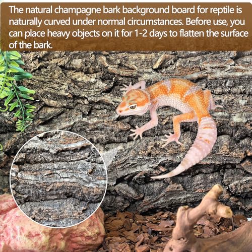 Cork Terrarium Background 11.8x7.9in 6PCS Natural Reptile Cork Bark Flats Terrarium Board Bearded Dragon Climbing Wall Mat Tank Decor for Lizard Chamelon Snake Turtle Spider Crested Gecko - size: 6PCS-11.8x7.9in