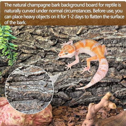 Cork Terrarium Background 11.8x7.9in 6PCS Natural Reptile Cork Bark Flats Terrarium Board Bearded Dragon Climbing Wall Mat Tank Decor for Lizard Chamelon Snake Turtle Spider Crested Gecko - size: 6PCS-11.8x7.9in