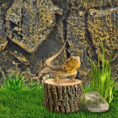Rock Terrarium Background,3D Bearded Dragon Tank Backgrounds Wall Reptile Stereo Backdrop Amphibian Habitat Climbing Board Decoration Aquarium Background Decor for Reptiles Lizard Fish Frog