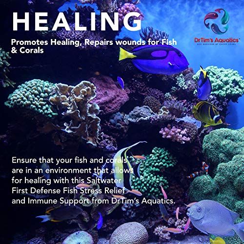 Dr. Tim’s Aquatics Saltwater First Defense Fish Stress Relief and Immune Support – For Fish Tanks, Aquariums – Revitalizes Natural Slime Coat – Detoxifies Heavy Metals, Repairs Wounds – 128 Oz.