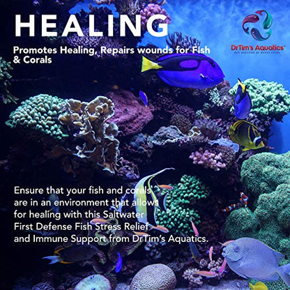 Dr. Tim’s Aquatics Saltwater First Defense Fish Stress Relief and Immune Support – For Fish Tanks, Aquariums – Revitalizes Natural Slime Coat – Detoxifies Heavy Metals, Repairs Wounds – 128 Oz.