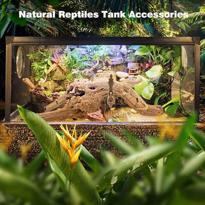 Natural Spiderwood for Aquarium Decor 2-Piece 11''-14'' Long Natural Driftwood Branches for Fish Tank Decorations