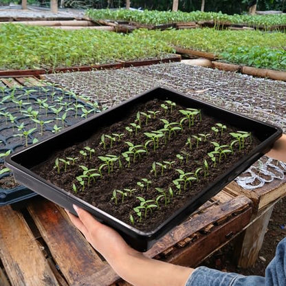 6 Pack Nursery Potting Trays, Plastic Seedling Starter Tray with No Drain Holes, Easy Watering Flat Garden Plant Growing Tray for Indoor Greenhouse Germination, 17.3'' x 11.6'' x 1.3''