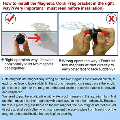 Aquarium Choice Coral Plug Holder - Magnetic Coral Frag Rack (7 Frag Plugs)