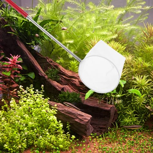 BESPORTBLE Mini Telescopic Shrimp Net for Aquarium with Extendable Handle Small Fine Mesh Fish Net for Shrimp Catching and Aquarium Maintenance