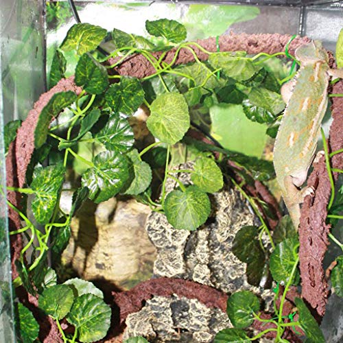 Aquarium Climbing Terrarium Plant Fish for Decoration Terrarium for Snake