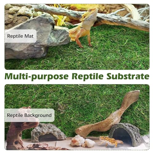 2 PCS Reptile Carpet Cuttable Terrarium Mat Artificial Moss Reptile Liner Green Substrate Flooring Bearded Dragon Tank Accessories for Leopard Gecko Lizard Snake Tortoise (11.81" x 23.62")
