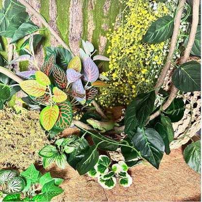 15Pcs Bearded Dragon Tank Accessories, Reptile Plants, Reptile Hammock, Lizard Habitat Decor with Terrarium Plants for Geckos Snakes Chameleons