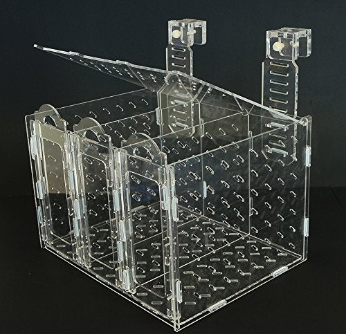 Collapsible RF-300C Acclimation Box