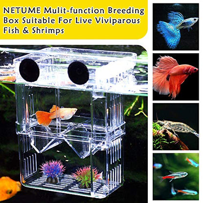 Aquarium Fish Breeding Box, Acrylic Double Layer Fishes Isolation Box/Baby Fishs Hatchery/Fry Breeder Box for Guppy,Tropical Fishes, Floating Fish Incubator Tank Divider with Suction Cups, L size