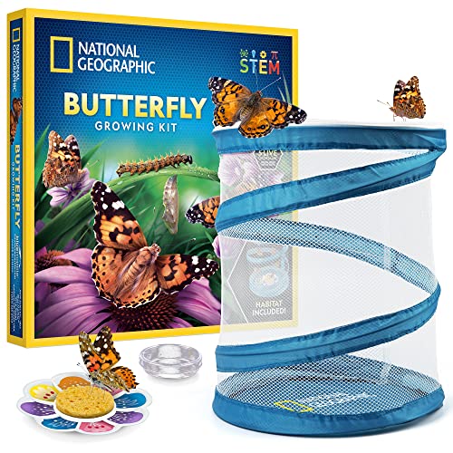 National Geographic Butterfly Growing Kit - Butterfly Habitat Kit with Voucher to Redeem 5 Caterpillars (S&H Not Included), Butterfly Cage, Feeder (Amazon Exclusive) - style: Starter Butterfly Kit
