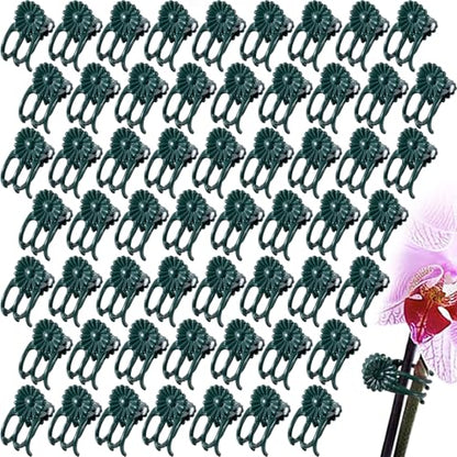 OIIKI 60pcs Orchid Clips for Plants Support, Plant Orchid Support Clips, Vine Tools Supports for Garden Climbing Stems Vines Climbing Plants- Dark Green