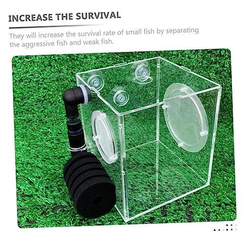 Fish Breeding Box Cups Fish Incubator for Fry Isolation Aquarium Lightweight and Easy Installation and Cleaning