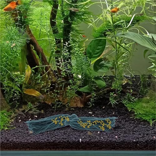 30 Pcs Aquarium Hatchery Spawning Mop – Yarn Breed Bed for Fish, Bucket Adornment & Tank Hideout(Blue) - color: Blue