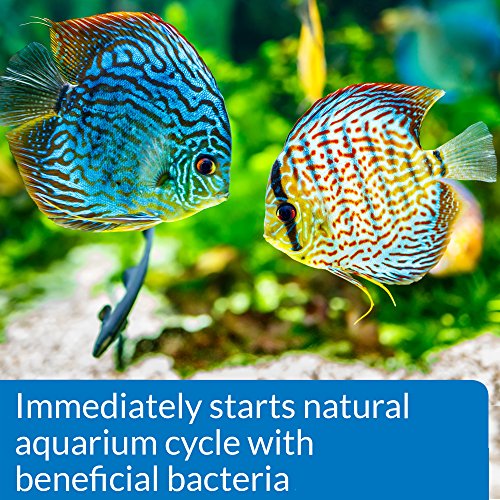 API QUICK START Freshwater and Saltwater Aquarium Nitrifying Bacteria 16-Ounce Bottle - size: 16-Ounce