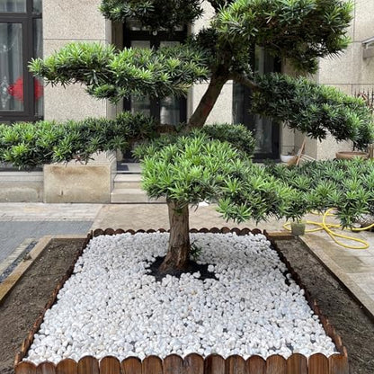 5 lbs White Matte Rocks for Plants, 2-3 Inch Large Pebbles for Indoor Plants, Decorative River Stones for Succulent, Landscaping, Vases, Crafting and Garden