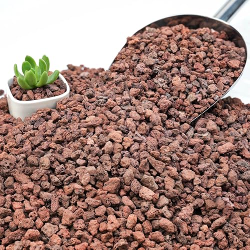 3lb Red Lava Rocks for Plants, 3/8" Succulent Potting Soil Amendments, Decorative Lava Rocks for Fire Pit, Volcanic Gravel for Aquarium, Natural Pebbles Pumice for Cactus, Vase, Top Dressing - color: Red, size: 3 Lb