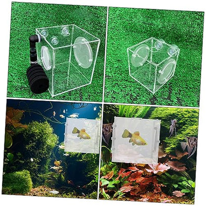 Fish Breeding Box Cups Fish Incubator for Fry Isolation Aquarium Lightweight and Easy Installation and Cleaning