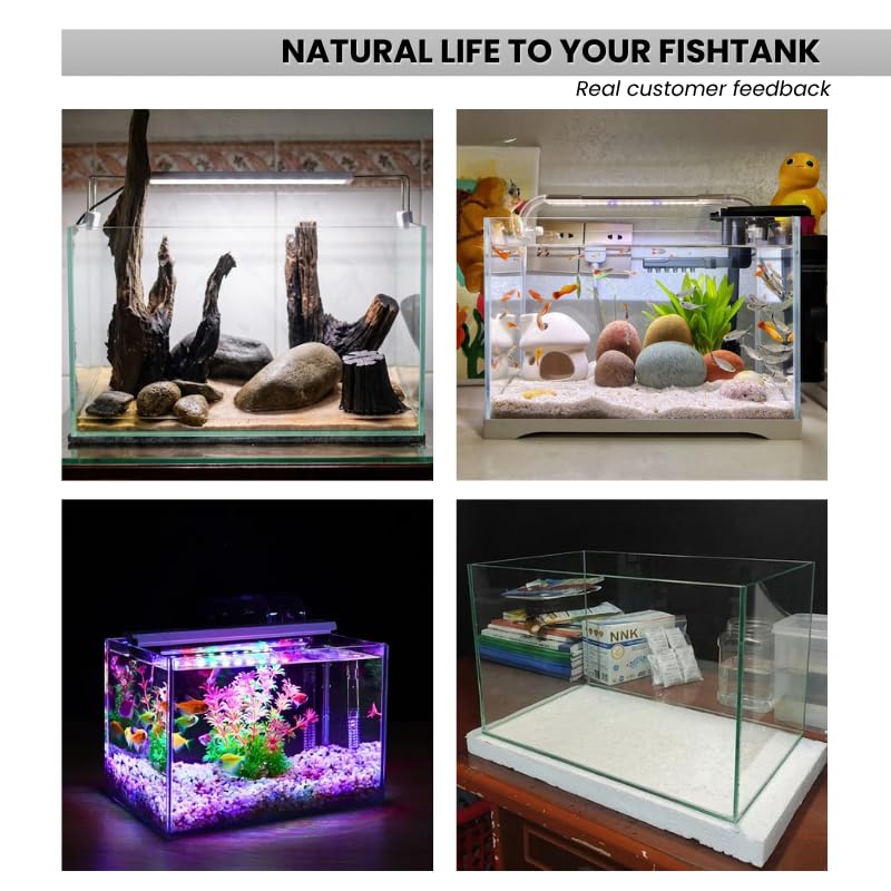 Glass Aquarium 6.5 Gallon - Rectangular Desktop Fish Tank - 5mm Thick High-Clarity Glass with Protective Bottom Mat - Ideal for Betta, Shrimp, and Small Tropical Fish