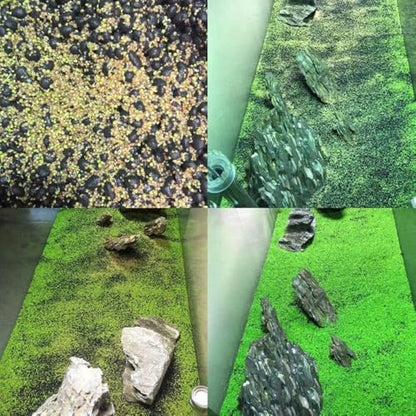 Fresh Water Aquarium Plant Starter Kit, Easy Growing, Small Leaf, Dwarf Carpet Decor for Fish Tank/Terrarium - 1 Pack (Big Leaf)