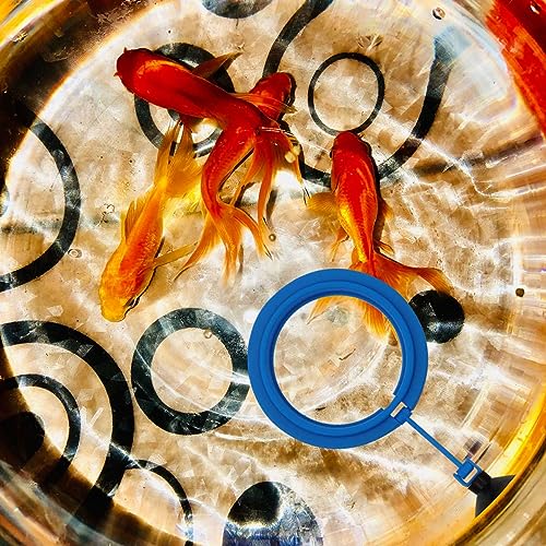 Fish Feeding Ring Floating Food Feeder Circle with Suction Cup Easy to Install Aquarium (Round) - color: Round