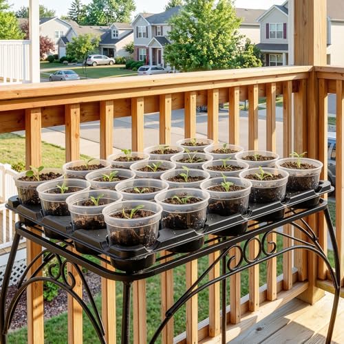 3 Inch Seed Starting Trays with Clear Nursery Pots, 2-Pack 20-Cell Seedling Starter Trays & 3" Nursery Pots 40 Pcs with Drainage, Plant Starter Germination Trays for Indoor Outdoor Growing - size: 3 Inch, style: 2 Pack Seed Starter Tray+Nursery Pots