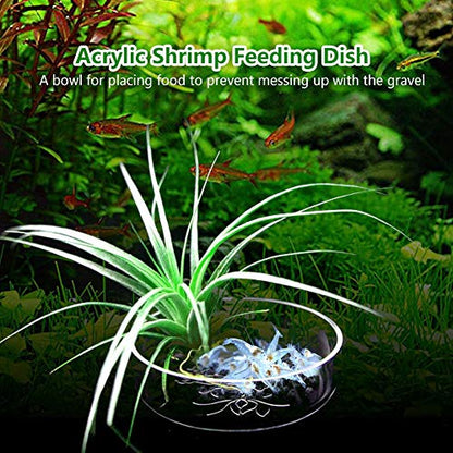 Acrylic Aquarium Shrimp Feeding Dish Bowl, Transparent Fish Food Container Feeder Tray Smaller Reptile Pets Feeder Dish