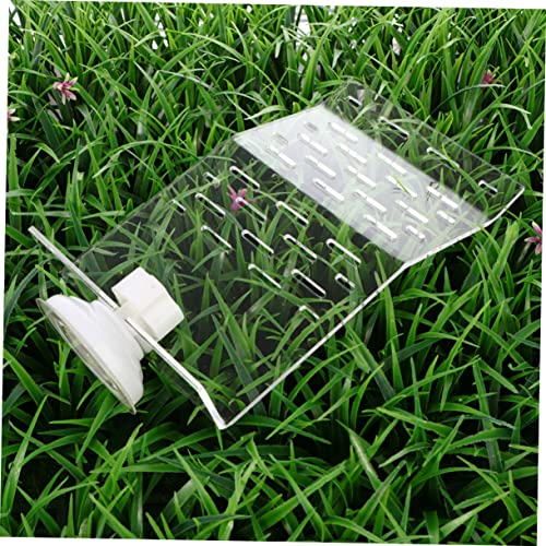 Transparent Turtle Basking Platform Small Climbing Slope for Turtles Reptiles Aquatic Pets Durable Plastic Aquarium Stand for Relaxed Resting Environment