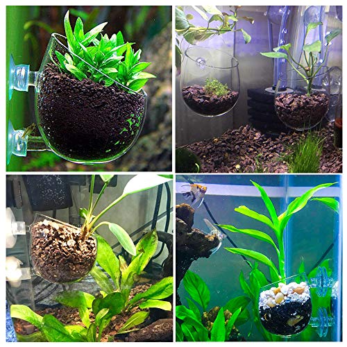 4X Crystal Glass Aquarium Plant Pot, Aquarium Aquatic Planter, Red Shrimp Live Plants Fish Tank Glass Holder with 4X Suction Cups for Aquarium Fish Tank Decorations … (4 Pack)… - size: 4 pack