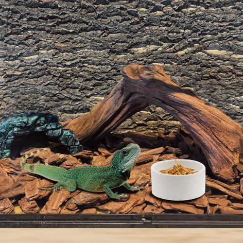 2 Pack Snake Small Water Bowl Reptile Food Dish Ceramic Feeder for Snake Lizard Gecko Frog Hermit Crab