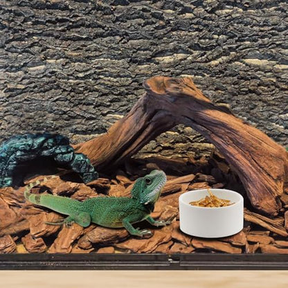 2 Pack Snake Small Water Bowl Reptile Food Dish Ceramic Feeder for Snake Lizard Gecko Frog Hermit Crab