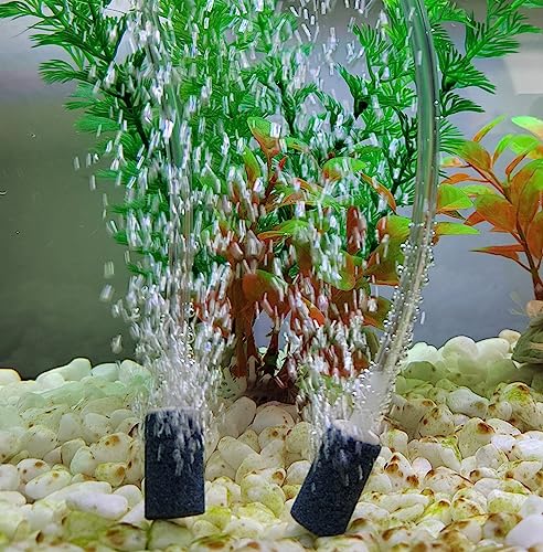 AQUANEAT Aquarium Air Stones 1 inch 12 Pack, Bubble Stone, Aerator Bubble Diffuser, Air Pump Accessories for Aquariums, Fish Tanks, and Hydroponics