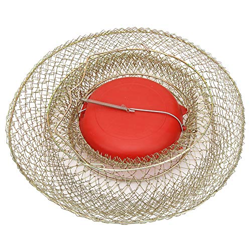 Stainless Steel Fish Basket, Foldable Round Portable Fishing Shrimp Basket Fishing Net Cage Fish Baskets with Floating Bowl Diameter 33cm