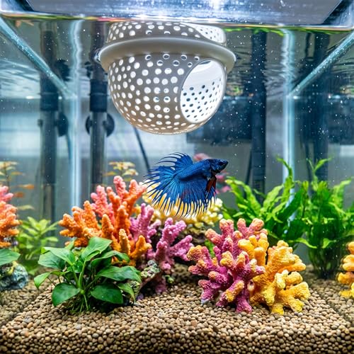 2 PCS Floating Betta Hammock & Shrimp Shelter, 3D Printed Aquarium Hammock | Floating Bettas Hide and Shrimp Cave Safe Resting Spot with Feeding Ring for Bettas Small Fish Betta Fish Tank Accessories(Wh