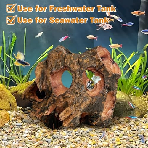 Betta Fish Cave Natural Wood Betta Fish Hideout for Aquarium Fish Tank Decorations Hideout Betta Fish Accessories Habitat Shelter for Crayfish Shrimp and Other Aquatic Pets