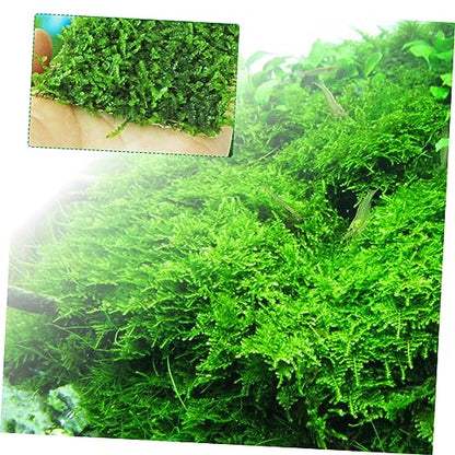 VICASKY Aquarium Fixed Mesh Pad Stainless Steel Wire Mesh Fish Tank Net Moss and Grass Plant Holder