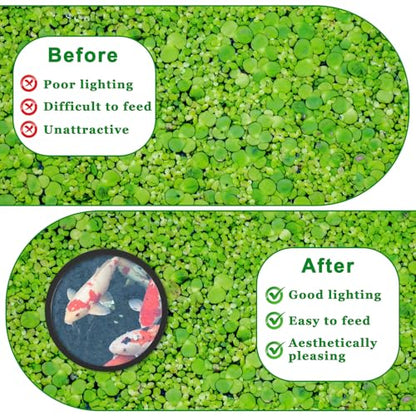 5 Pcs Round Feeding Ring for Fish Tank, 5 Sizes Aquarium Floating Plant Barrier Floating Plant Corral Fish Tank Aquarium Accessories for Betta(Black)