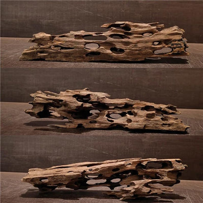 Fish Tank Natural Porous Wood Driftwood Ornament for Aquarium Decoration Hermit Crabs Shrimp Fish Aquarium Accessories… (10-15cm)