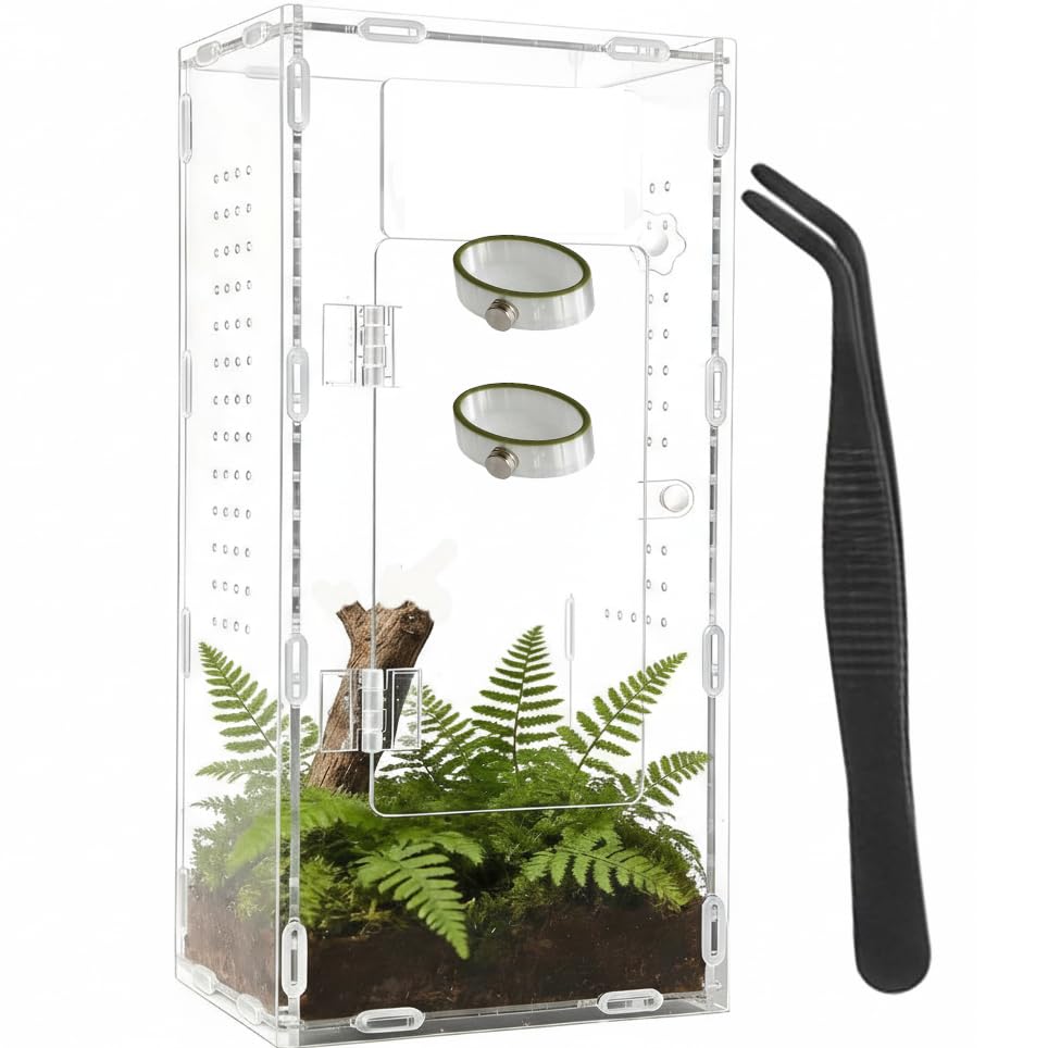 Jumping Spider Enclosure Accessories 3 Pcs Magnetic Feeding Bowl Set with Jumping Spider Feeding Tongs Removable Feeding Station Decor for Spider Terrarium
