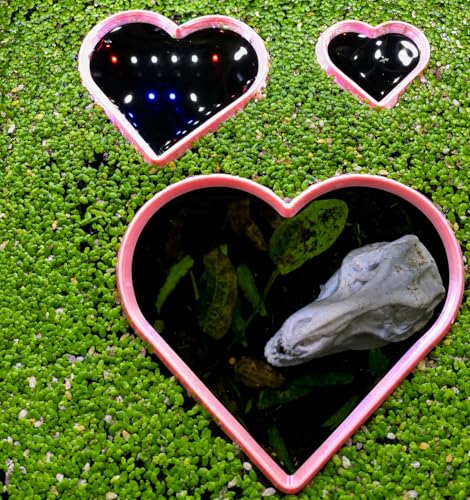 Heart Shaped Aquarium Feeding Ring, Floating Fish Feeding Ring for Fish Tank, Aquatic Plant Feeding Frame, Betta Shrimp Feeding Station, Cute Heart Aquarium Accessory Decor (Medium) - size: Medium