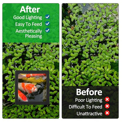 6PCS Aquarium Floating Plant Corral, Square Black EVA Fish Feeding Ring Set, Fish Tank Accessories for Mini Betta Tank, Floating Plants Holder|Feeder|Corral - style: 6 Square