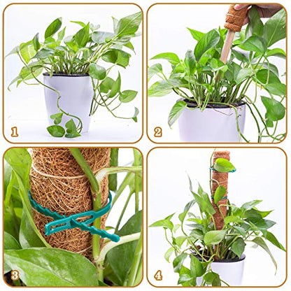 2 Pcs 12 Inches Coir Moss Poles for Climbing Plants with 4 Pcs Adjustable Plant Twist Ties - Coir Moss Totem Stick for Creepers Plant Support Extension, Climbing Indoor Plants(Total 20 Inch)