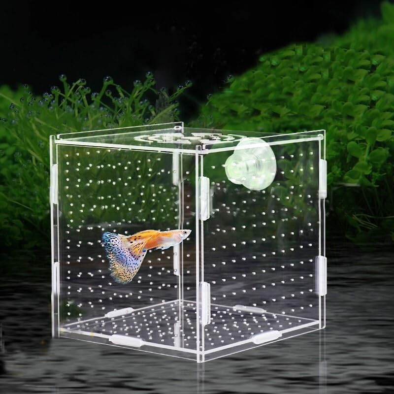 Acrylic Fish Breeding Box，Guppy breeding Box Acrylic Fish Isolation Box Aquarium Incubator with Suction Cups for Guppy Shrimp Small Baby Fishes（3.9 x 3.9 x 3.9 inches） - size: S(3.9 * 3.9 * 3.9in)