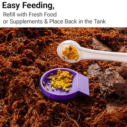 12-Pack Feeding Dish for Invertebrates – Feeder Bowls for Dubia Roaches, Isopods, Springtails, Superworms, Small Insects & More – Mini Bowls for Reptile Food & Supplements