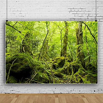 5x3ft Peaceful Natural Scenery Backdrop Evergreen Forest Rustic Landscape Sunshine Tree Photography Background Kids Birthday Party Banner Adventure Theme Polyester Studio Props Portrait Photo - size: 5x3ft-P