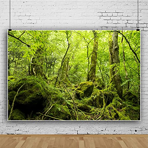 5x4ft Peaceful Natural Scenery Backdrop Evergreen Forest Rustic Landscape Sunshine Tree Photography Background Kids Birthday Party Banner Adventure Theme Polyester Studio Props Portrait Photo - size: 5x4ft-P