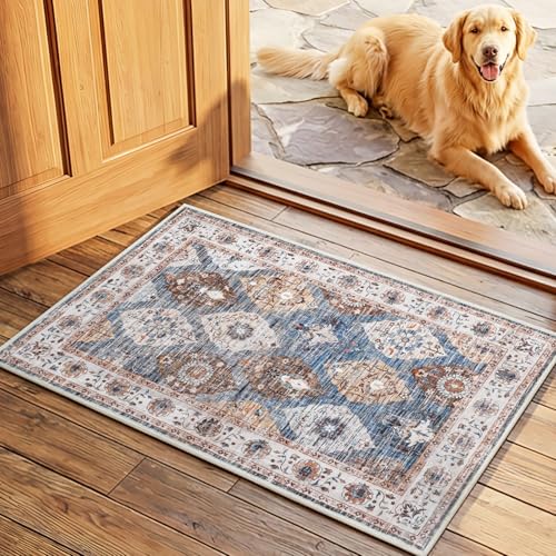 HOOBRO 20 Gallon Fish Tank Stand with Power Outlets and LED Light, 2 x 3 ft Area Rugs Washable, Metal Frame Aquarium Stand, Small Rug for Entryway Kitchen Bathroom Door Mat Indoor, BB40UDFT01-BU01AR01