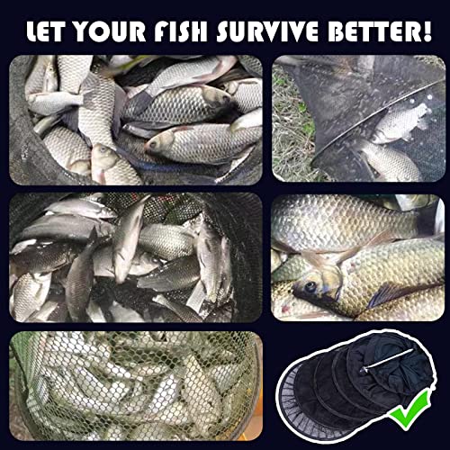 Fishing Cage Basket, Collapsible Nylon Fish Baskets, Fish Keeping Net with Anchor Bolt, for Minnows,Crab,Shrimp,Crawfish-Black(60X13 in)