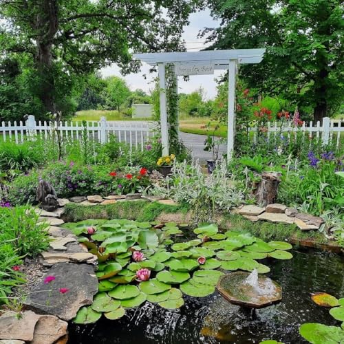 PondH2o 7 Inch (18cm) Square Plastic Slotted Mesh Baskets for Water Garden Pond Pond Plants or Flowers | Value 6 Pack, Aquatic Planting Nets Pots for Ponds, Aquariums, Aquaponics, Hydroponics